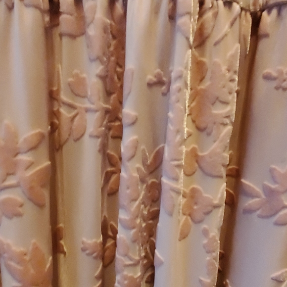 Forever 21 Burnout Velvet Open Back Dress - Picture 3 of 3